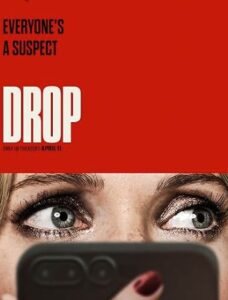 Drop Filmy4WEB 2025 Hindi Dubbed
