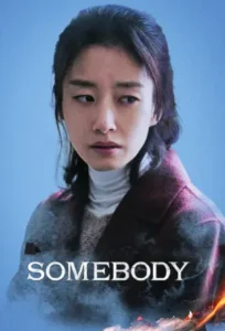 Somebody Filmy4WEB (2026) Hindi Dubbed AMZN